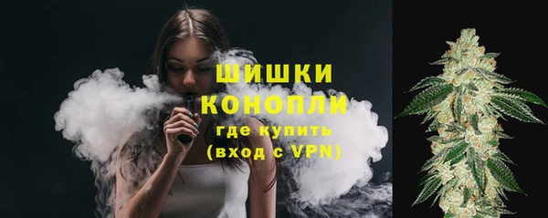 дживик Михайловск