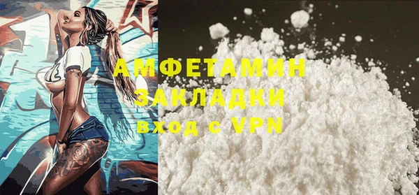 индика Михайлов