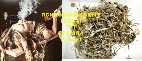 дживик Михайловск