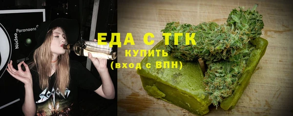 индика Михайлов