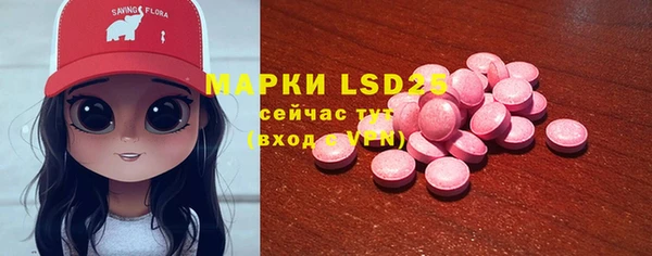 индика Михайлов